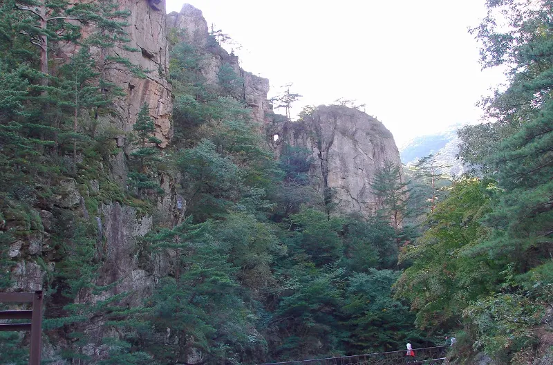 백두대간 오대산권 종주 3코스 (삽당령 닭목재) 표지 사진
