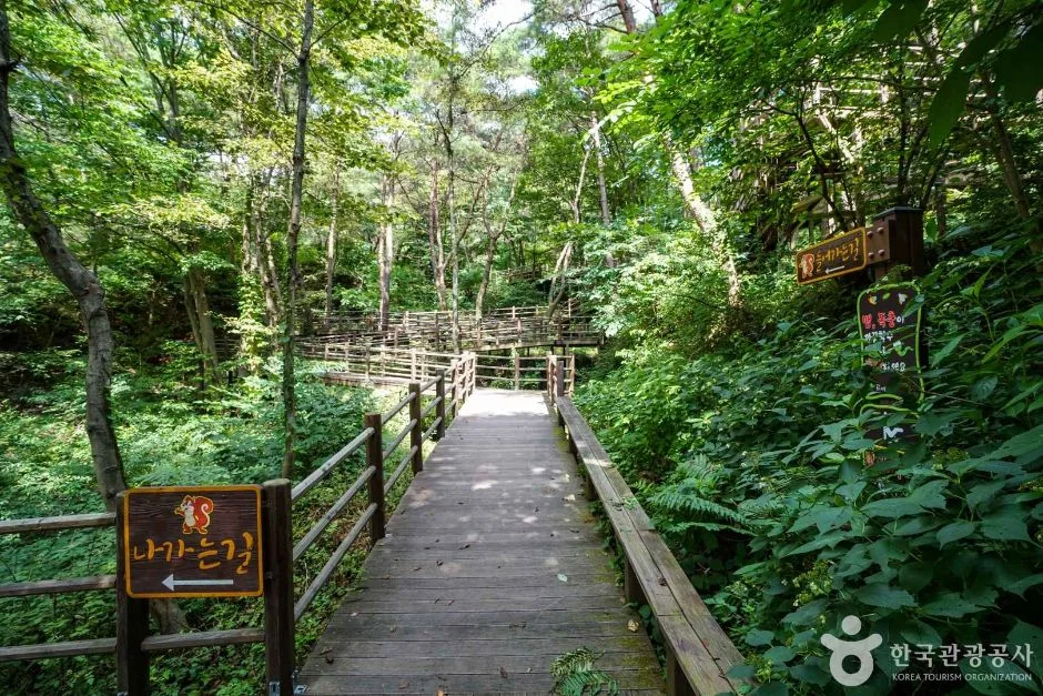 우두산 1코스 대표 사진