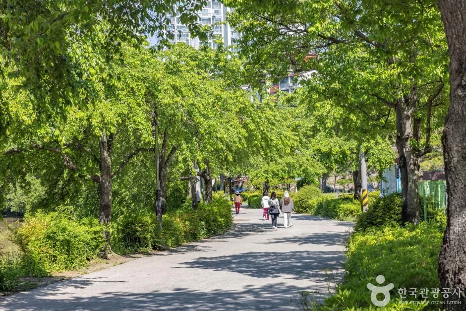 월아산 1코스 대표 사진