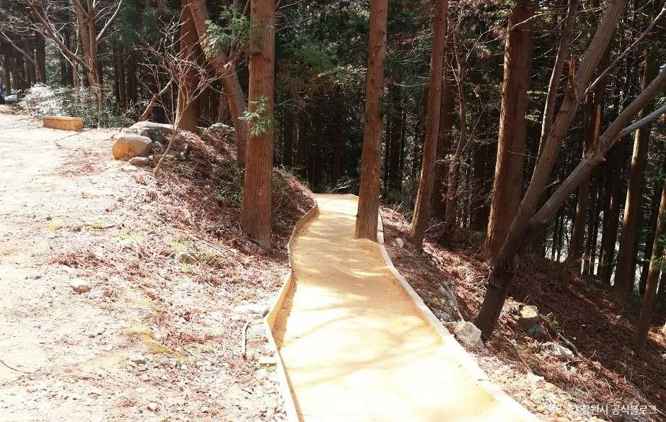장복산 2코스 대표 사진