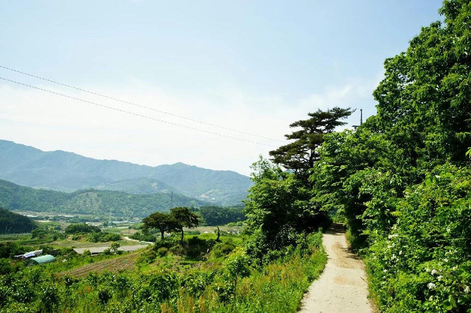 지리산(천왕봉) 8코스 대표 사진