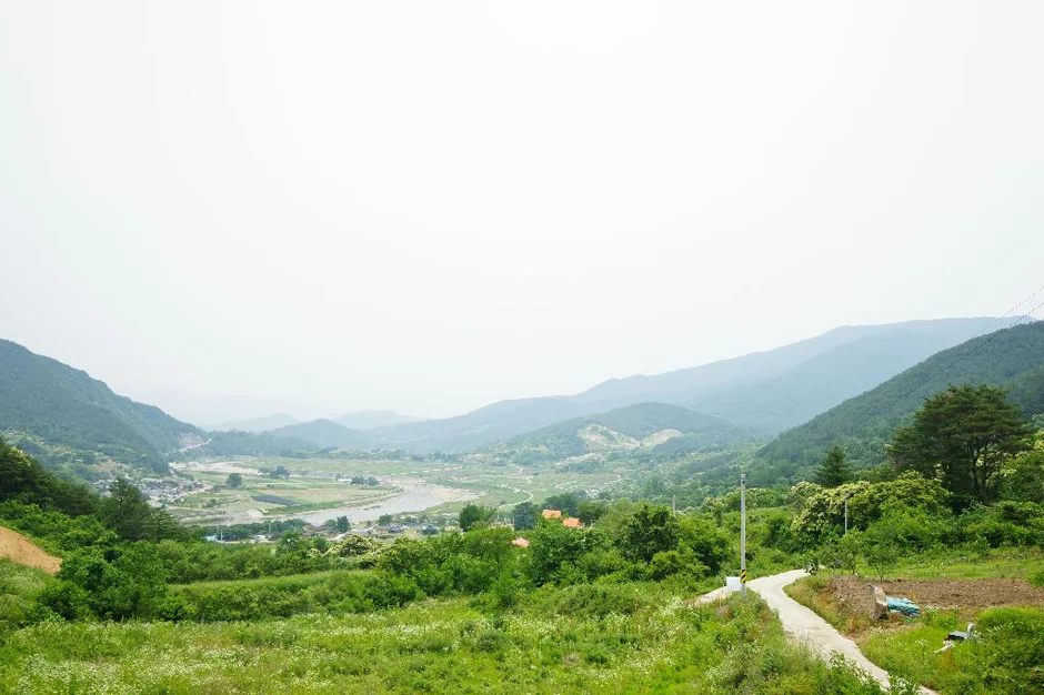 지리산(천왕봉) 14코스 대표 사진