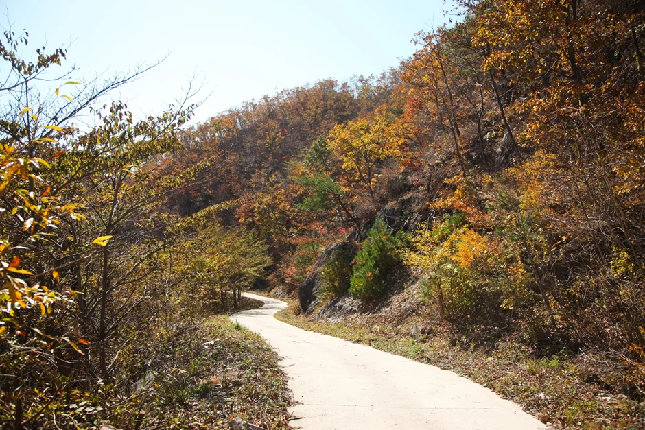 지리산(천왕봉) 19코스 대표 사진