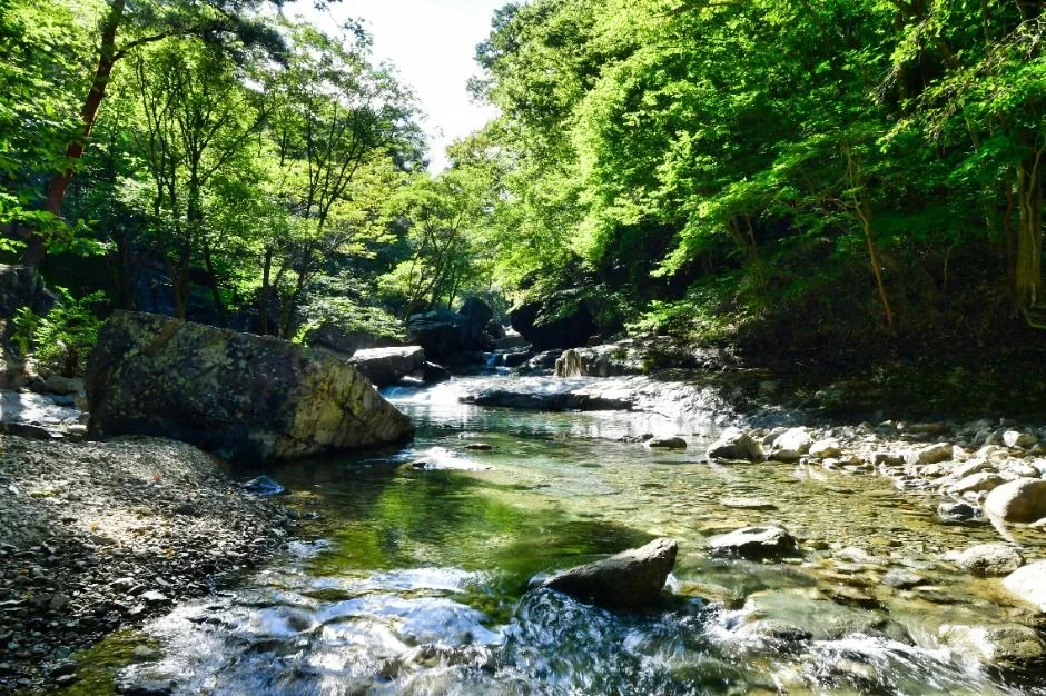 천성산2봉(비로봉) 3코스 대표 사진