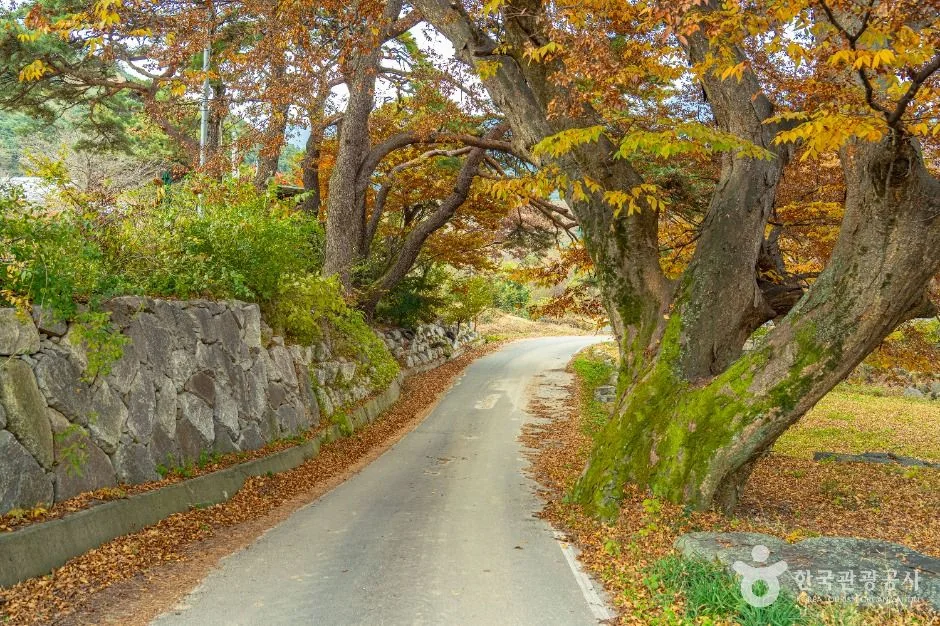 만행산(천황봉) 4코스 대표 사진