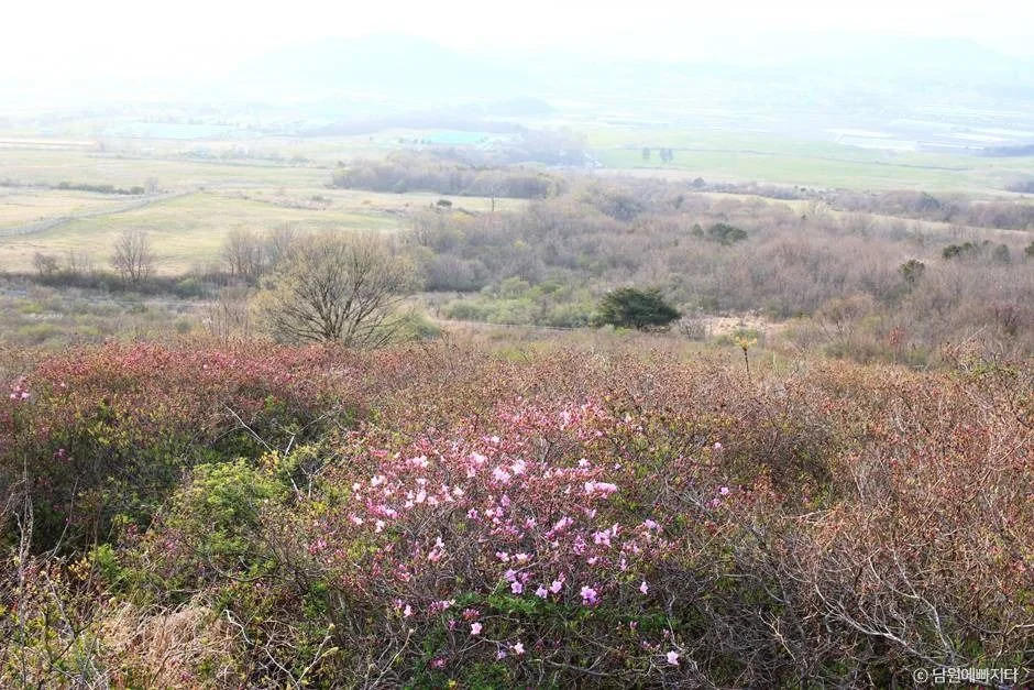 바래봉 4코스 대표 사진
