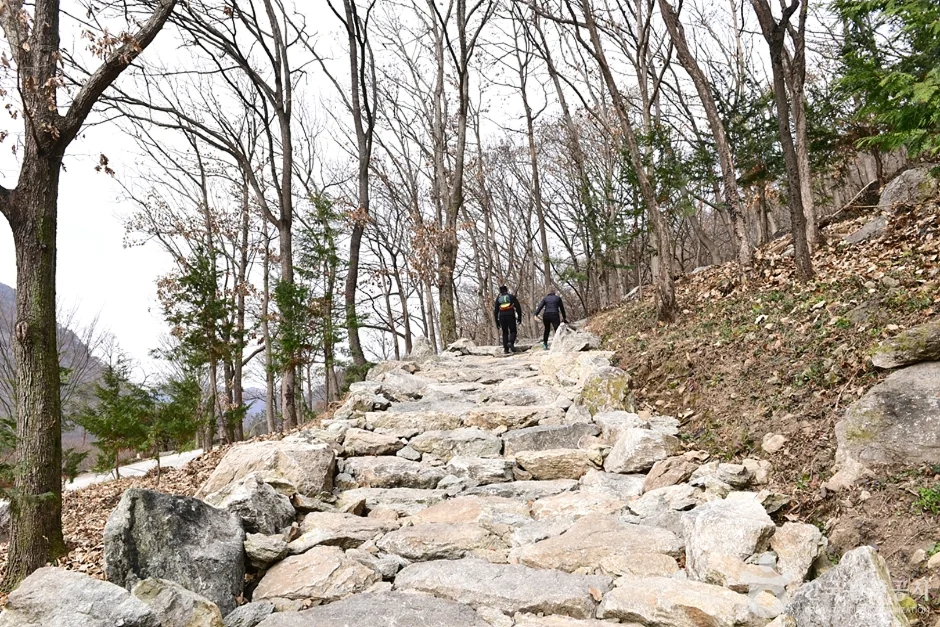 용궐산 2코스 대표 사진