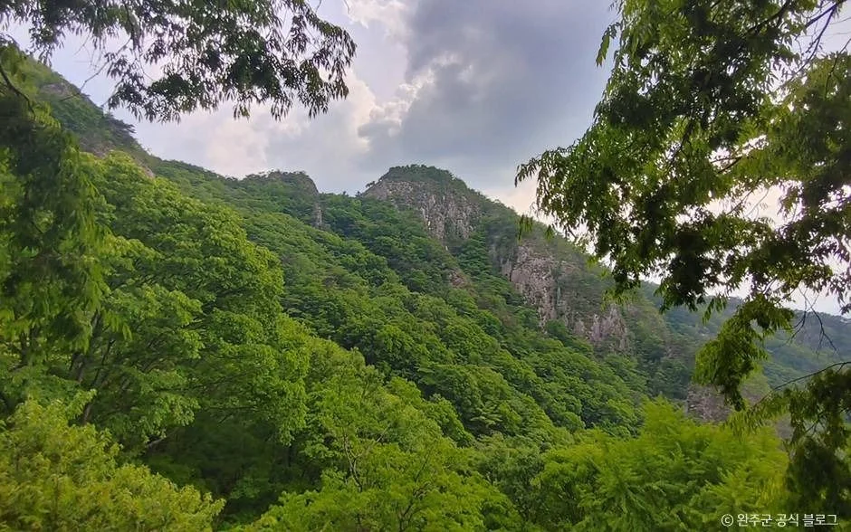 천등산 3코스 대표 사진