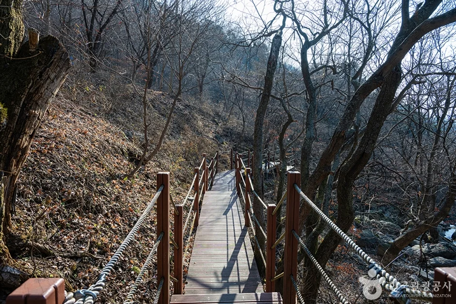 축령산 2코스 대표 사진