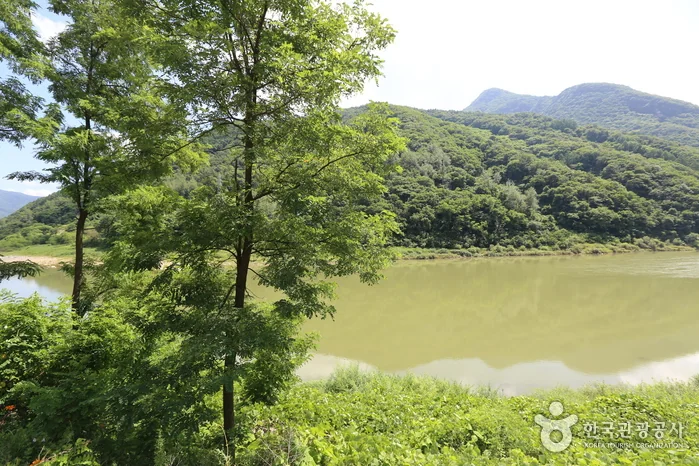 태화산 2코스 대표 사진