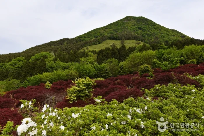 만연산 2코스 대표 사진