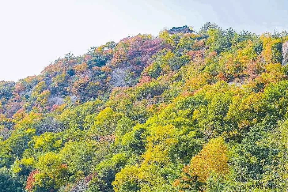 유달산일등바위 1코스 대표 사진
