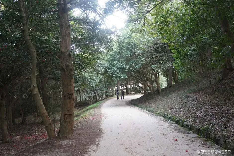 만덕산 2코스 대표 사진