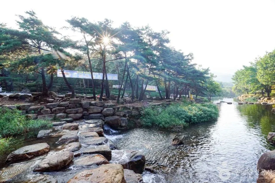 화왕산 4코스 대표 사진