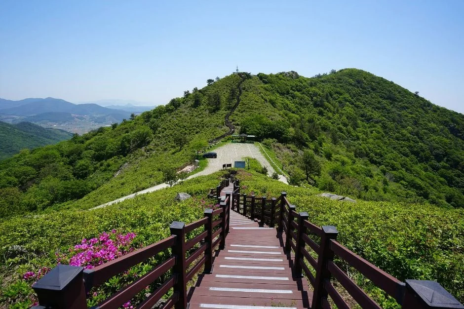 천등산 2코스 대표 사진