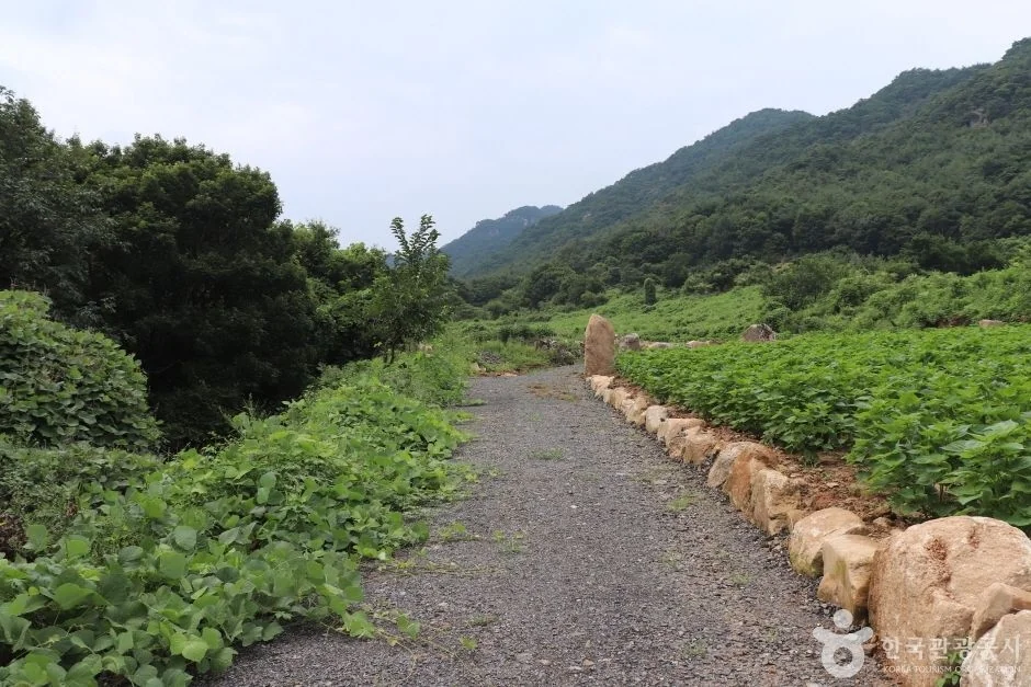 희양산 6코스 대표 사진