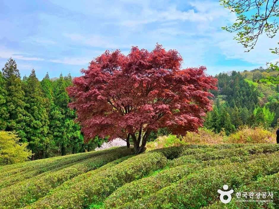 활성산 2코스 대표 사진