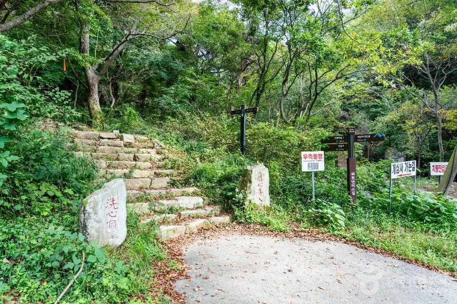 용현산 1코스 대표 사진