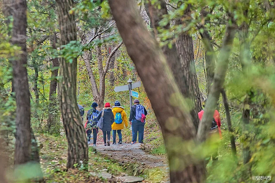 내포문화숲길 1코스 대표 사진