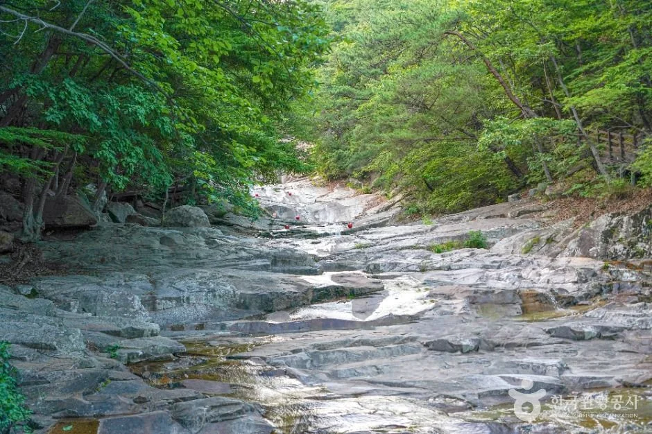 가지산 3코스 대표 사진