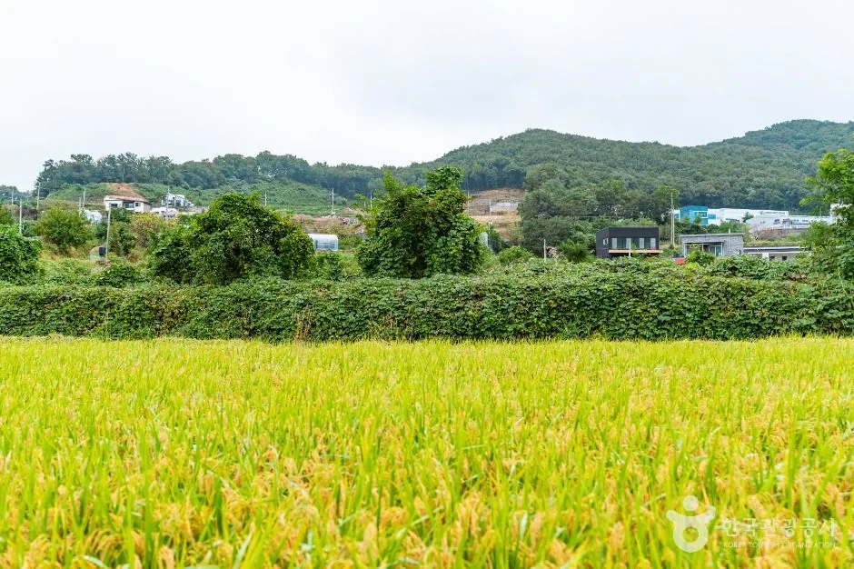 둔덕산 2코스 대표 사진