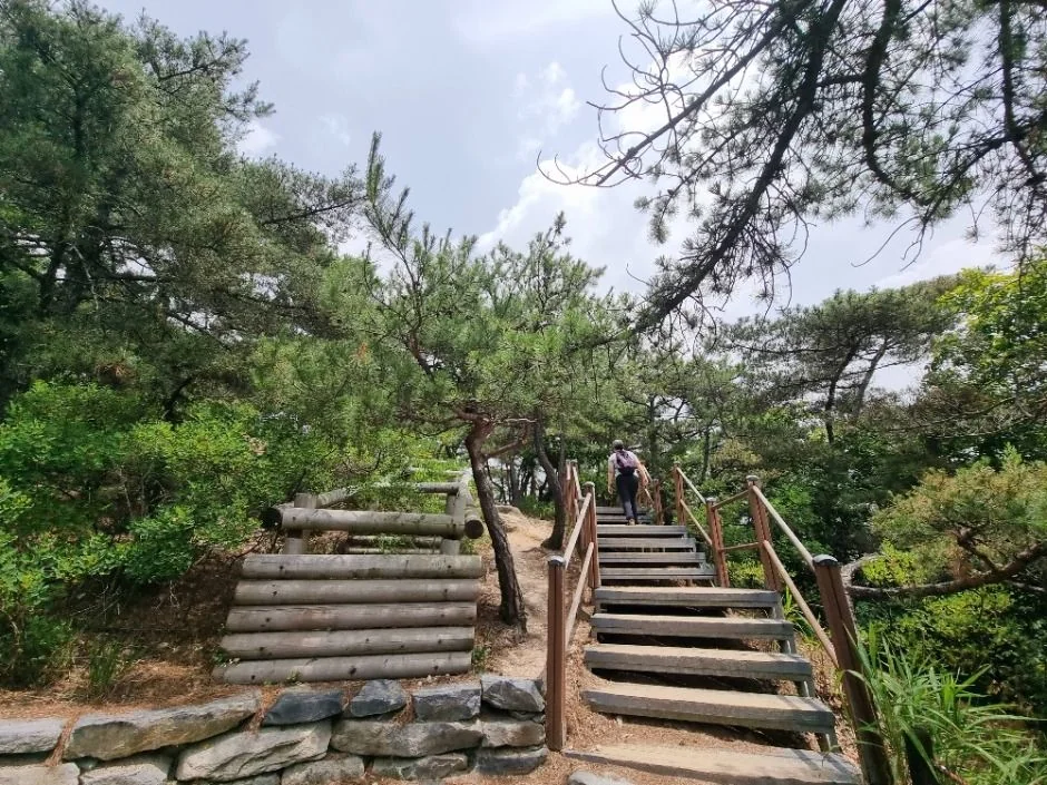 오감만족 서울둘레길 8코스 대표 사진
