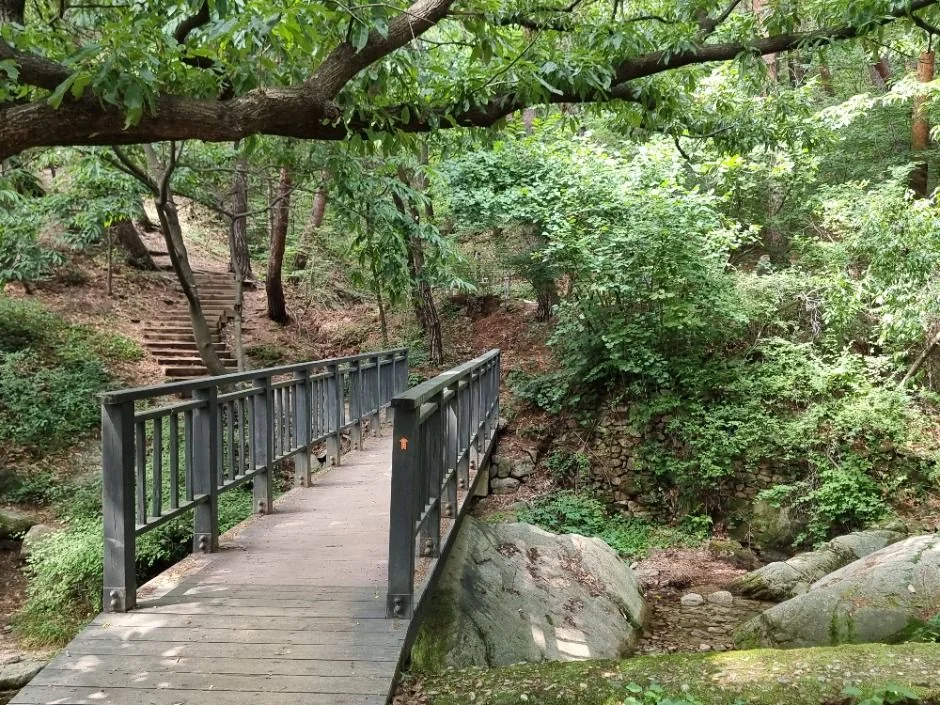 오감만족 서울둘레길 1코스 대표 사진