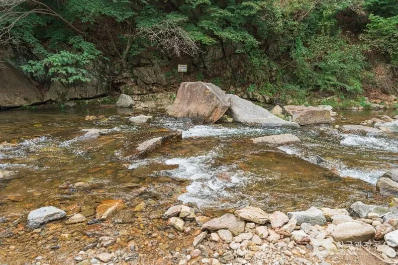 동두천 왕방산 MTB 코스 (대회 코스 참고) 표지 사진