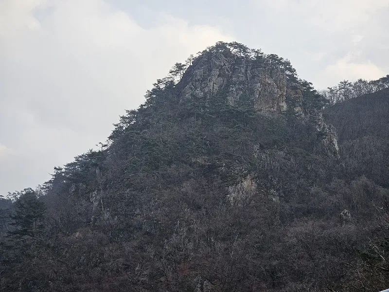 춘천 강촌 그래블 코스 (챌린지 코스 참고) 표지 사진