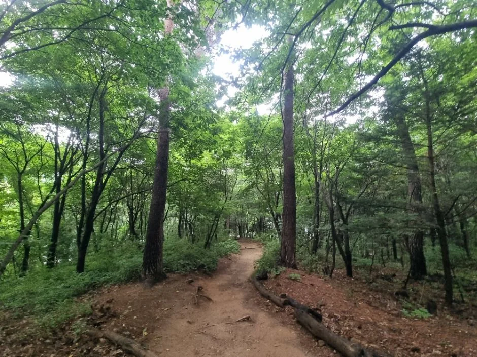 오감만족 서울둘레길 7코스 대표 사진