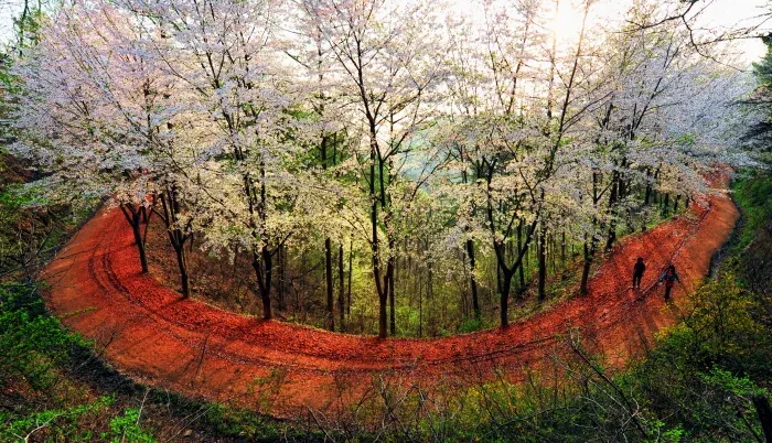 대전 계족산 임도 코스 표지 사진
