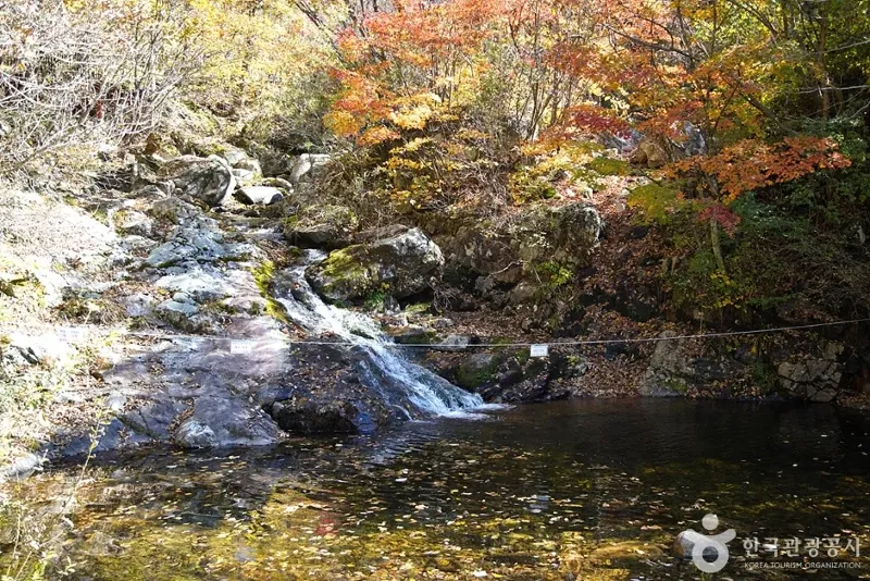 철원 복주산 임도 코스 표지 사진