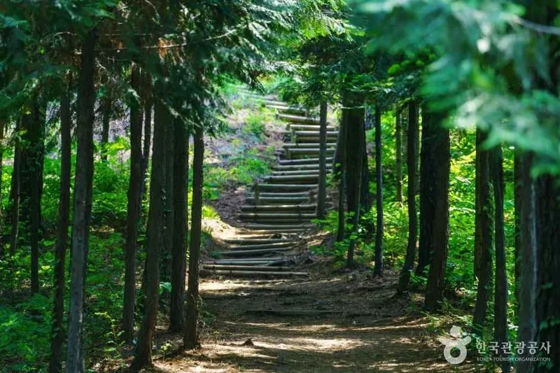 용인 마구산·부용산 연계 코스 표지 사진