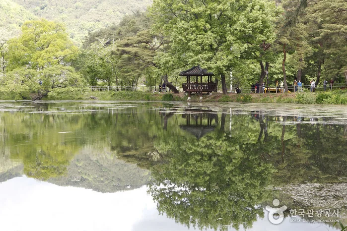 청도·밀양 함박임도 코스 대표 사진
