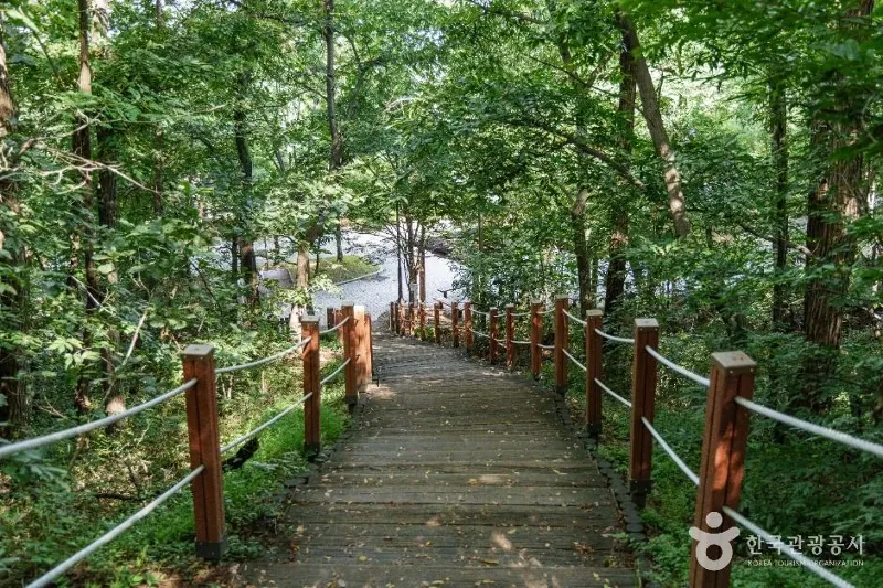 고양 아마존 풀코스 표지 사진