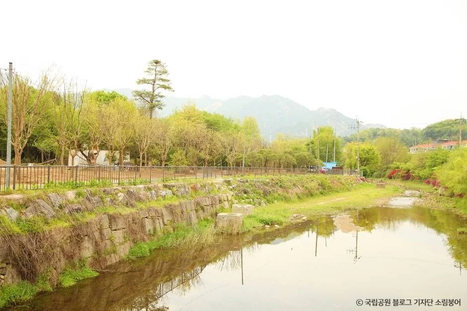 고양 앵봉·노고산 싱글 코스 대표 사진