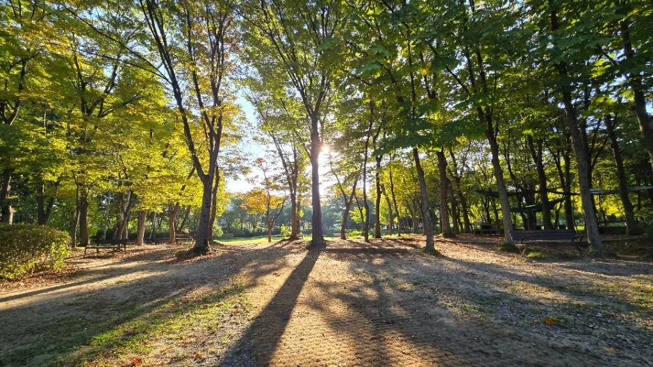 우면산 7코스 대표 사진