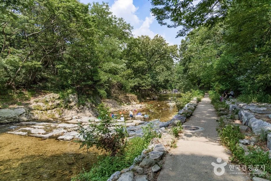 돌산국기대 1코스 대표 사진