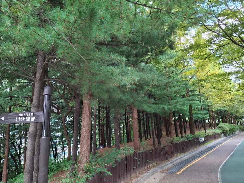 큰매봉 2코스 대표 사진
