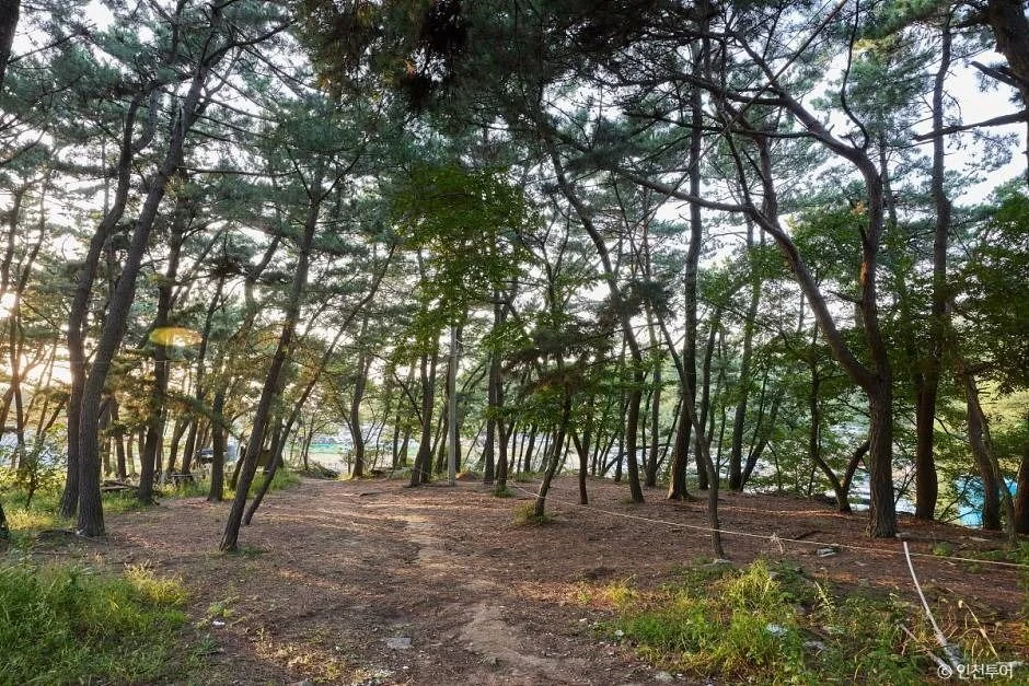 호룡곡산 2코스 대표 사진