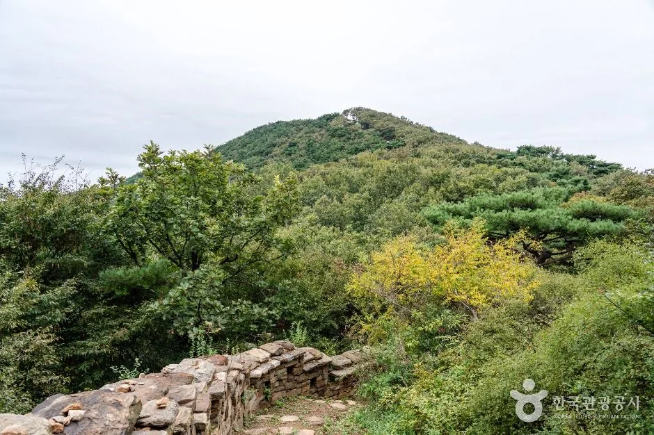 정족산 1코스 대표 사진