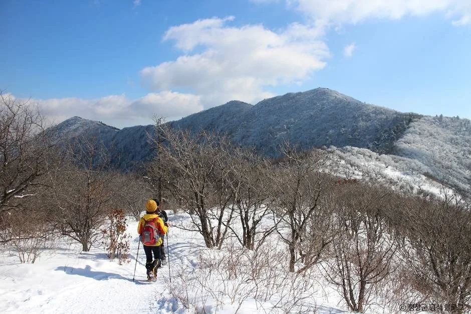 계방산 2코스 대표 사진
