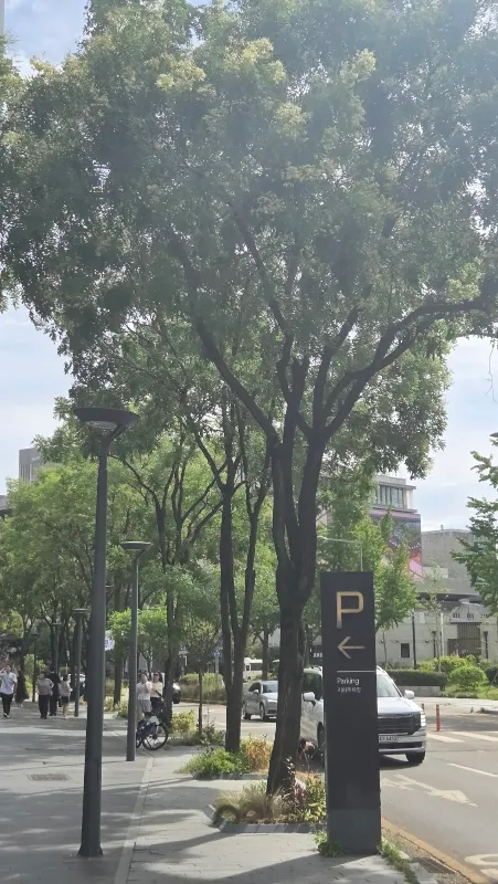 ph_1786257762079.jpg