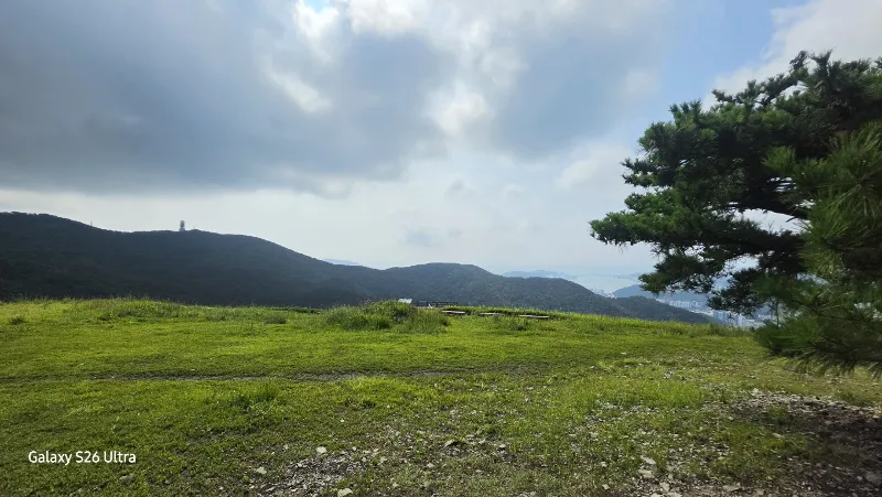 1000021061.webp