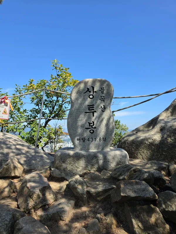 29608.jpg