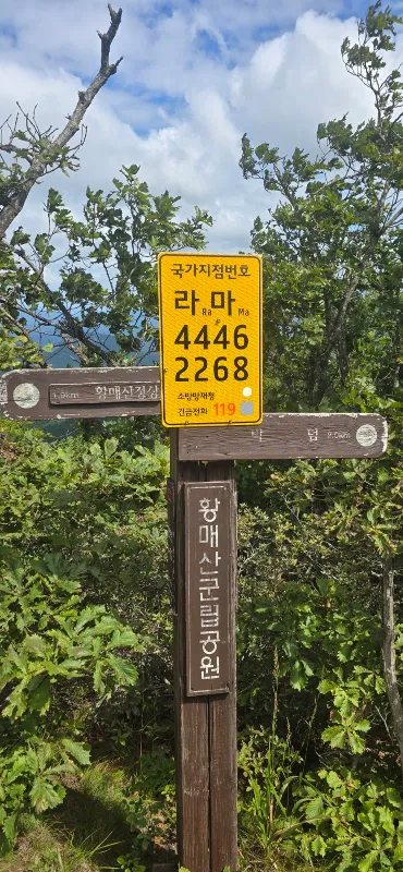 ph_1788584752953.jpg