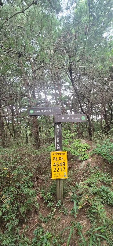 ph_1788586009183.jpg