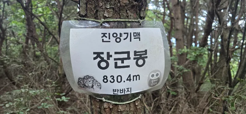 ph_1788585996856.jpg