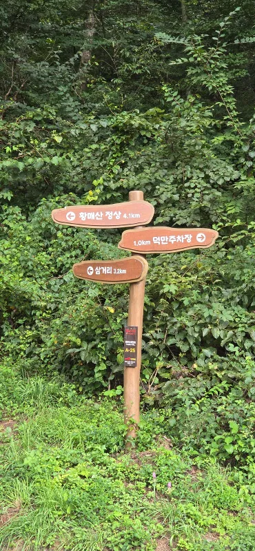 ph_1788587251197.jpg