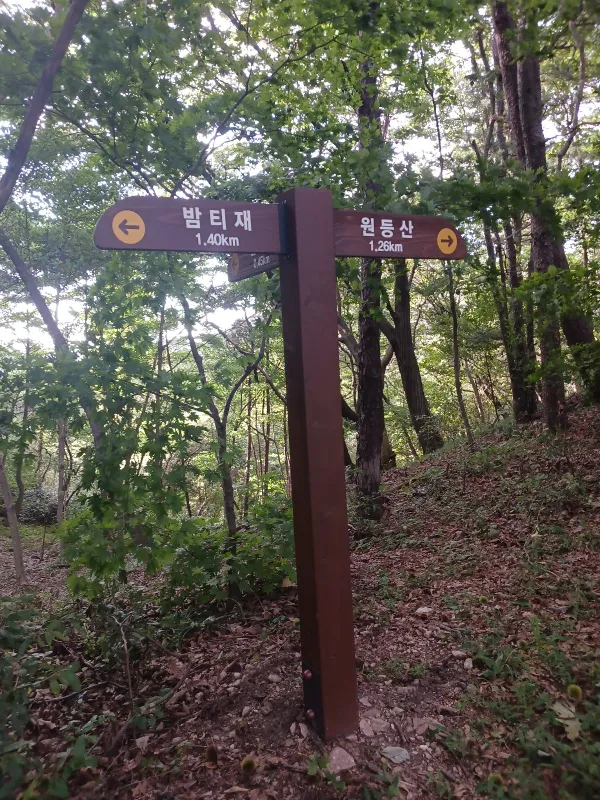 p01_imp_1788599590569.jpg